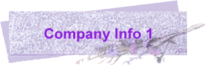 Company Info 1