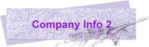 Company Info 2