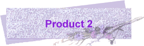 Product 2