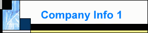 Company Info 1